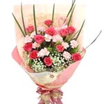 Let your loved ones blush in the colors this Cheer......  to flowers_delivery_dantu_china.asp