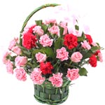 Order online for your loved ones this Outstanding ......  to flowers_delivery_zhoushan_china.asp