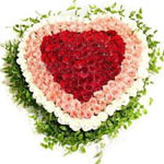 Immerse your loved ones in the happiness this Swee......  to flowers_delivery_zhoushan_china.asp