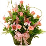 A perfect gift for any occasion, this Multicolored......  to yancheng_florists.asp