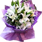 Sparkle happiness into the lives of the people you......  to baoding_florists.asp