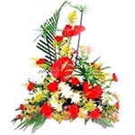 Just click and send this Premium Sentimental Surpr......  to danyang_florists.asp