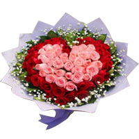 Offer your heartfelt wishes to your dear ones by s......  to Hainan