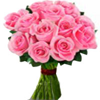 A classic gift, this Captivating Bunch of 1 Dozen ......  to shijiazhuang_florists.asp