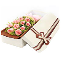 Be happy by sending this Eye-Catching 11 Pink Rose......  to jintan_florists.asp
