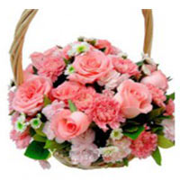 Congratulate your best friends and closer ones on ......  to flowers_delivery_baishan_china.asp