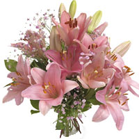 Loving Lilies