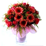 Blossoming Arrangement of Flower Blast