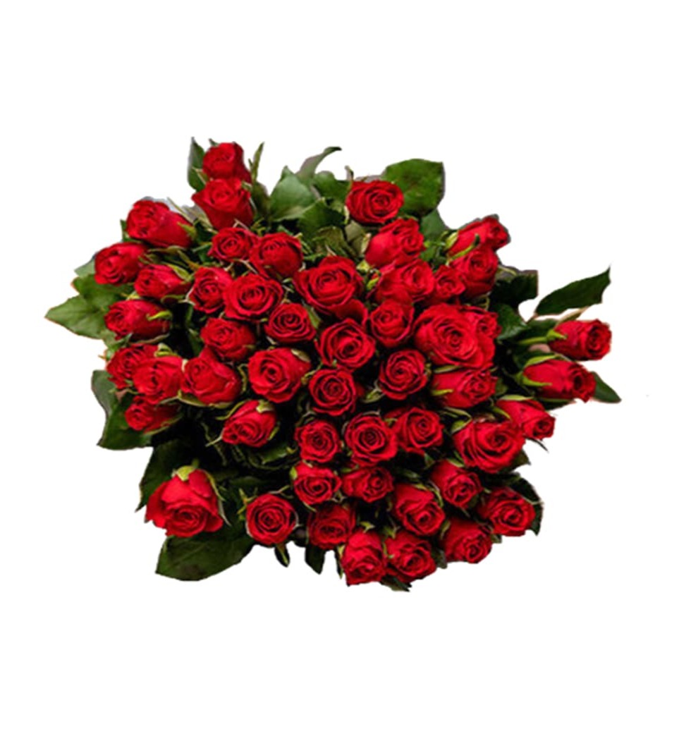 When a bunch of 50 ravishing Red Roses come togeth......  to darmstadt_florists.asp