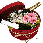 Celebrate life's most cherished moments with this ......  to flowers_delivery_kerkiras_greece.asp