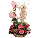 As open and bright as a Winter sky, this exquisite......  to lasvou_florists.asp