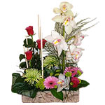 Make someone special happy with these wonderful na......  to flowers_delivery_kikladon_greece.asp