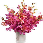 Orchids are exotic and when they come in pink they......  to flthiotidas_florists.asp