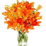 Congratulate someone special by sending these stem......  to flowers_delivery_kerkiras_greece.asp