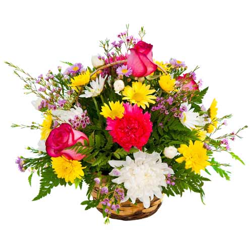 Greet your dear ones with this Exotic Seasonal Flo......  to kitakyushu_florists.asp