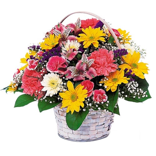 Add spark to your life as well as those who matter......  to flowers_delivery_kitakyushu_japan.asp