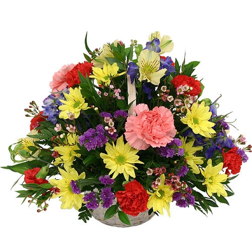 A perfect gift for any occasion, this Captivating ......  to hidaka_florists.asp