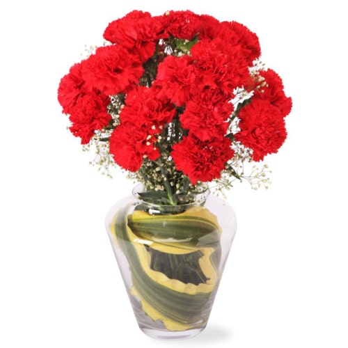 Present this Mesmerizing 12 Carnation Delight with......  to tokachi