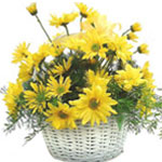 Sunshine Basket