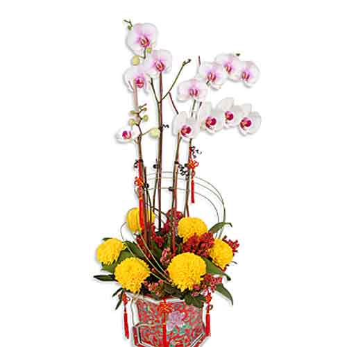 Add sweetness into your relationship by sending pe......  to flowers_delivery_tampoi_malaysia.asp