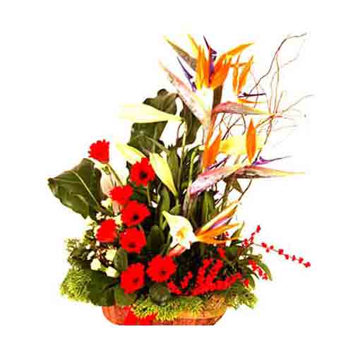 Send to your loved ones, this Vibrant Power of Flo......  to bukit indah_florists.asp