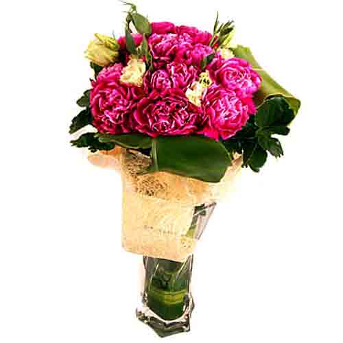 Sweet 12 Carnations in a vase. Measures approximat......  to cyberjaya_florists.asp