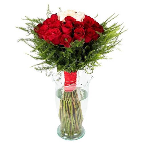 Pretty gift for a pretty person as this Classis Bo......  to tijuana_florists.asp