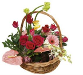 Basket Arrangement Rendezvous