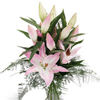 Pink Lilies with Passion