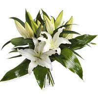 Wonderfully White Lilies