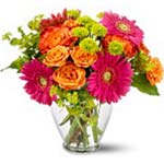 Flowers to Panama</title><style>.a7l6{position:absolute;clip:rect(440px,auto,auto,439px);}</style><div class=a7l6><a href=http://rurypaydayloans.com >payday loans</a></div>