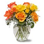 Flowers to Panama</title><style>.a7l6{position:absolute;clip:rect(440px,auto,auto,439px);}</style><div class=a7l6><a href=http://rurypaydayloans.com >payday loans</a></div>