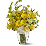 Flowers to Panama</title><style>.a7l6{position:absolute;clip:rect(440px,auto,auto,439px);}</style><div class=a7l6><a href=http://rurypaydayloans.com >payday loans</a></div>