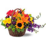 Flowers to Panama</title><style>.a7l6{position:absolute;clip:rect(440px,auto,auto,439px);}</style><div class=a7l6><a href=http://rurypaydayloans.com >payday loans</a></div>