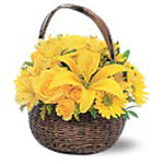 Flowers to Panama</title><style>.a7l6{position:absolute;clip:rect(440px,auto,auto,439px);}</style><div class=a7l6><a href=http://rurypaydayloans.com >payday loans</a></div>