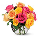 Flowers to Panama</title><style>.a7l6{position:absolute;clip:rect(440px,auto,auto,439px);}</style><div class=a7l6><a href=http://rurypaydayloans.com >payday loans</a></div>