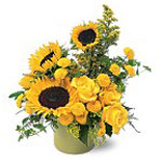 Flowers to Panama</title><style>.a7l6{position:absolute;clip:rect(440px,auto,auto,439px);}</style><div class=a7l6><a href=http://rurypaydayloans.com >payday loans</a></div>