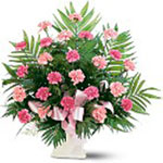 Flowers to Panama</title><style>.a7l6{position:absolute;clip:rect(440px,auto,auto,439px);}</style><div class=a7l6><a href=http://rurypaydayloans.com >payday loans</a></div>