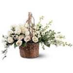 Flowers to Panama</title><style>.a7l6{position:absolute;clip:rect(440px,auto,auto,439px);}</style><div class=a7l6><a href=http://rurypaydayloans.com >payday loans</a></div>