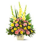 Flowers to Panama</title><style>.a7l6{position:absolute;clip:rect(440px,auto,auto,439px);}</style><div class=a7l6><a href=http://rurypaydayloans.com >payday loans</a></div>