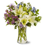 Flowers to Panama</title><style>.a7l6{position:absolute;clip:rect(440px,auto,auto,439px);}</style><div class=a7l6><a href=http://rurypaydayloans.com >payday loans</a></div>