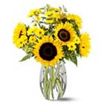 Flowers to Panama</title><style>.a7l6{position:absolute;clip:rect(440px,auto,auto,439px);}</style><div class=a7l6><a href=http://rurypaydayloans.com >payday loans</a></div>