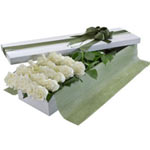 Exotic White Roses Box