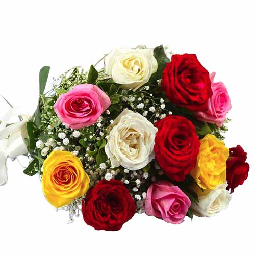 1 dozen multicolor roses