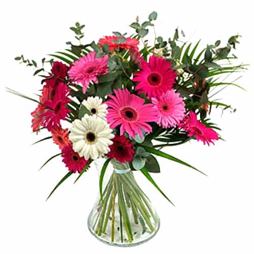 12 pcs Mixed Gerbera  Arrange in a Glass Vase