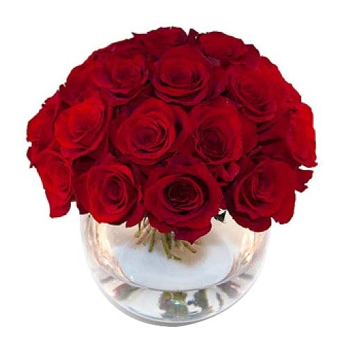 Red Roses in Vase