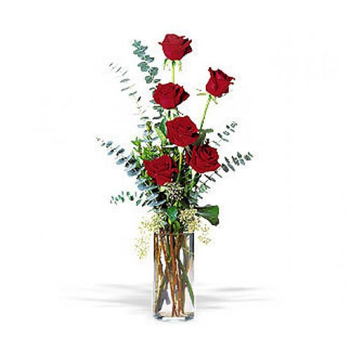 6 pcs fresh cuts red roses with greenery in a vase......  to San Jose