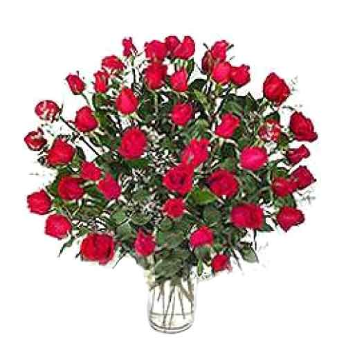 4 dozen red roses in a vase.......  to escalante