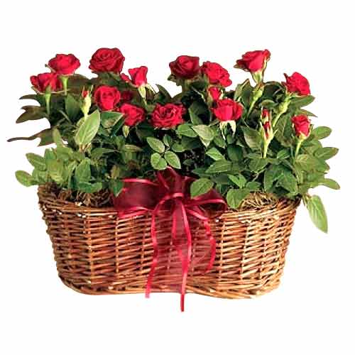 Enjoy the Rose Basket. This charming wicker basket......  to bago