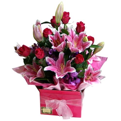 Fresh Mixed Cut Flowers Arrangement Contains Starg......  to Tabaco